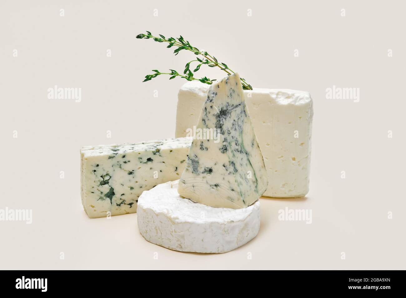 Différents types de fromage bleu moule Banque D'Images