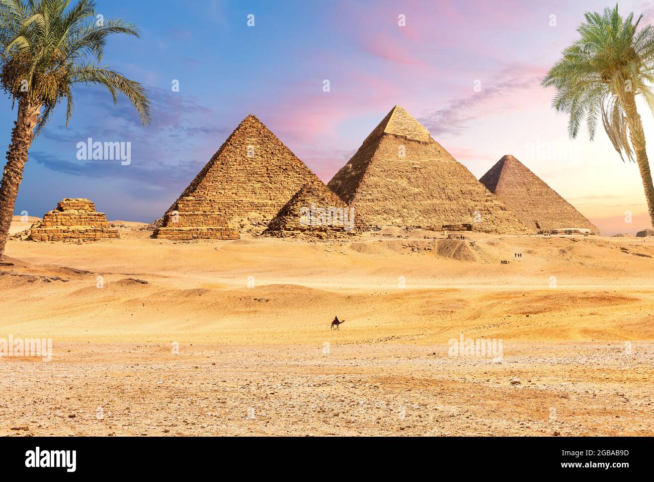 Célèbres grandes pyramides d'Égypte derrière les palmiers, Gizeh, quartier du Caire. Banque D'Images
