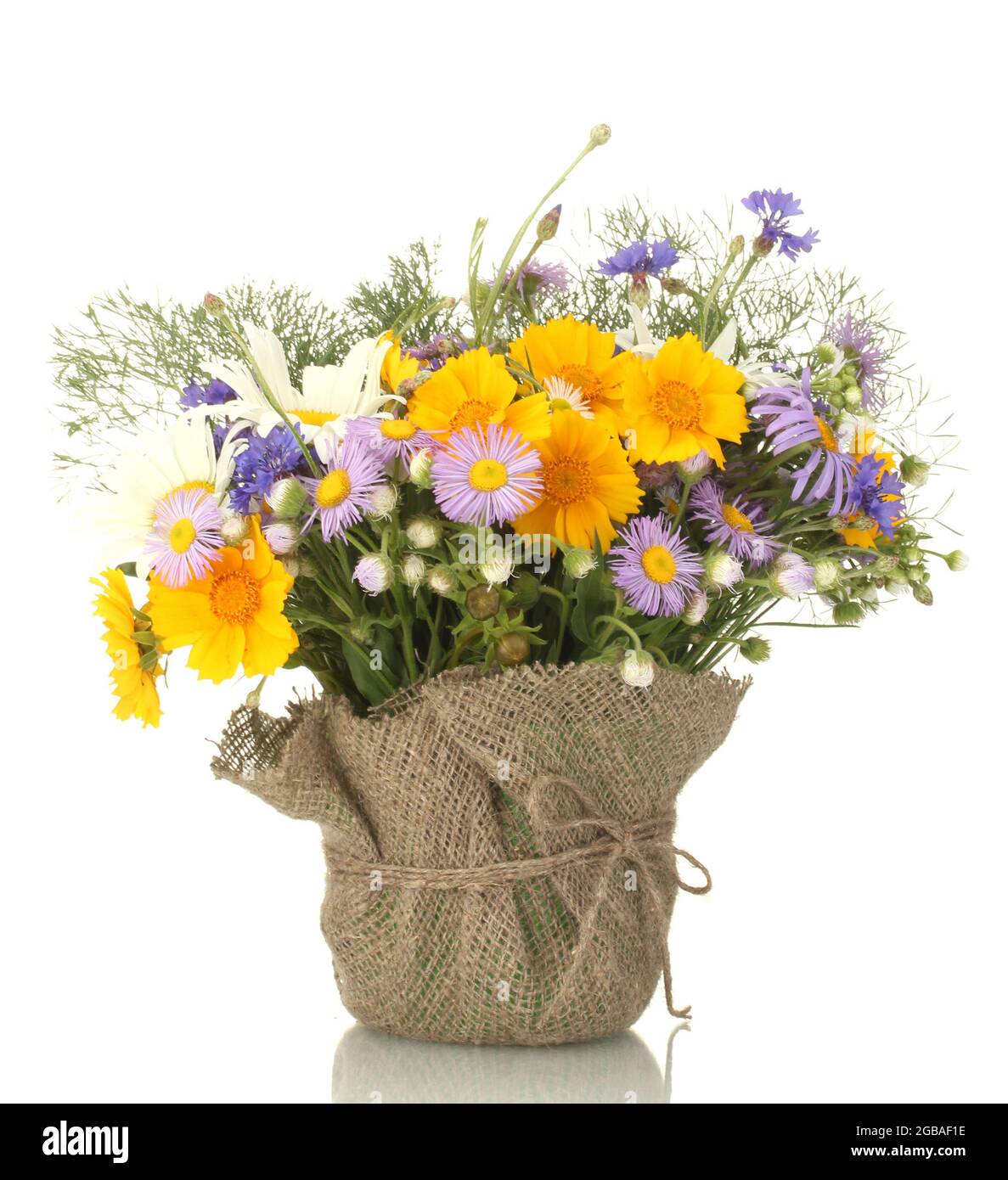 Magnifique bouquet de fleurs sauvages en pot lumineux, isolé sur blanc  Photo Stock - Alamy