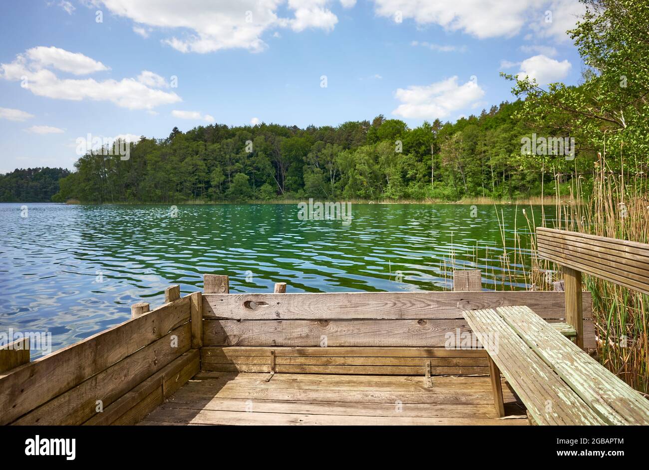 Banc sur une plate-forme de pêche en bois au bord d'un lac par une journée ensoleillée, en Pologne. Banque D'Images Banc sur une plate-forme de pêche en bois au bord d'un lac par une journée ensoleillée, en Pologne. Banque D'Images