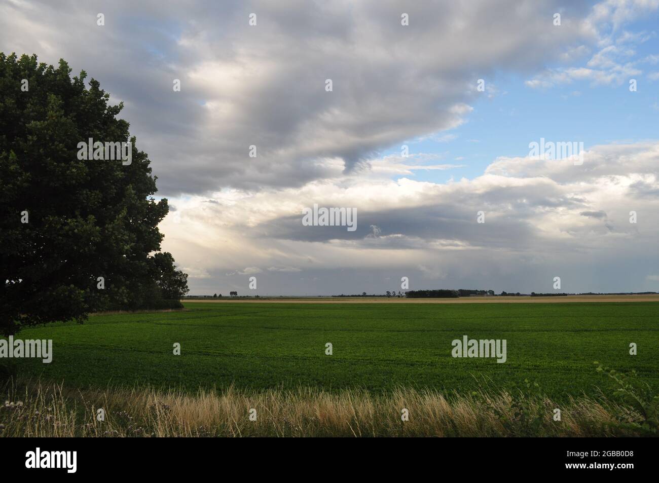 Vue à l'est de la grille d'OS 490242 au-dessus du marais de Terrington sur la frontière Lincolnshire/Norfolk dans les Fens, dans l'est de l'Angleterre, au Royaume-Uni Banque D'Images