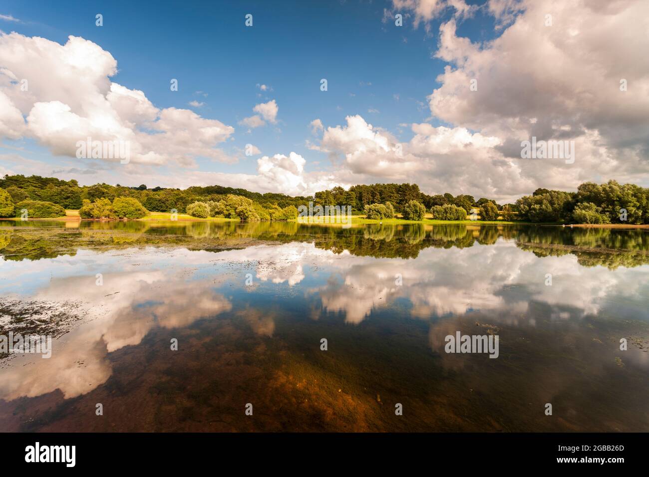 Vue sur le lac Blagdon, la vallée de Chew, le Somerset. Banque D'Images