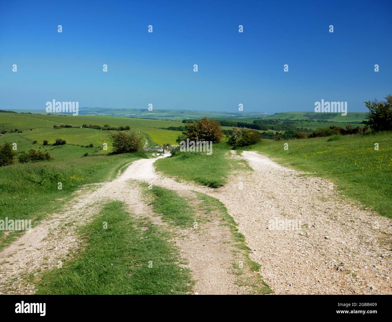 South Downs Way à Ditchling Beacon, East Sussex. Banque D'Images