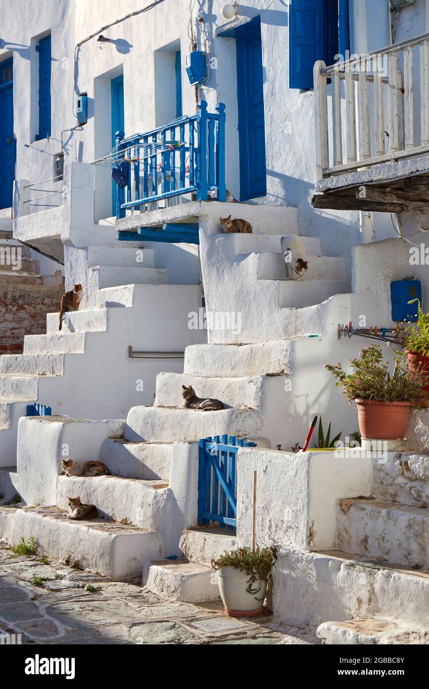 Ile Des Chats Banque D Image Et Photos Alamy