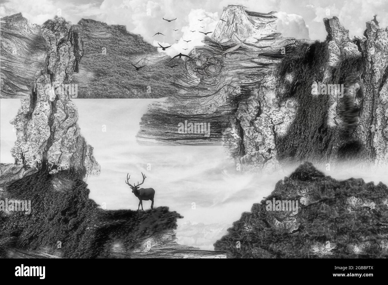 Un renne du nom scientifique de Rangifer tarandus est debout sur une savane verte au-dessus de la falaise avec vue sur la falaise de bokeh comme arrière-plan. Banque D'Images