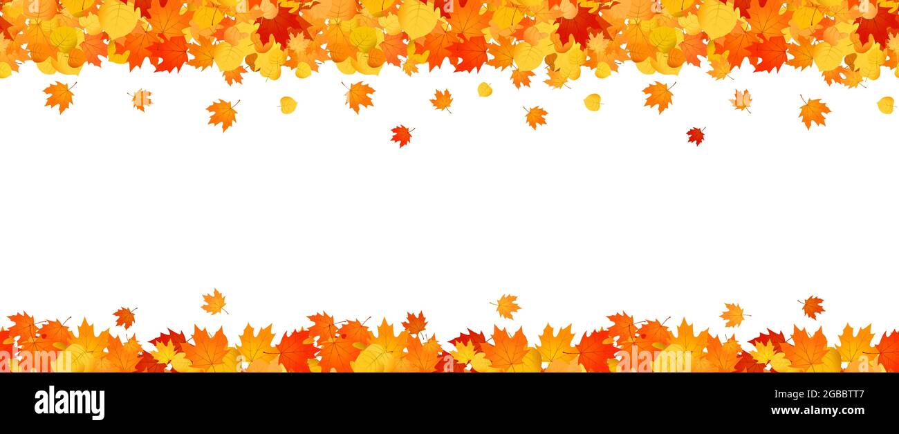 Cadre d'automne panoramique de feuilles tombant orange et rouge. Illustration de Vecteur