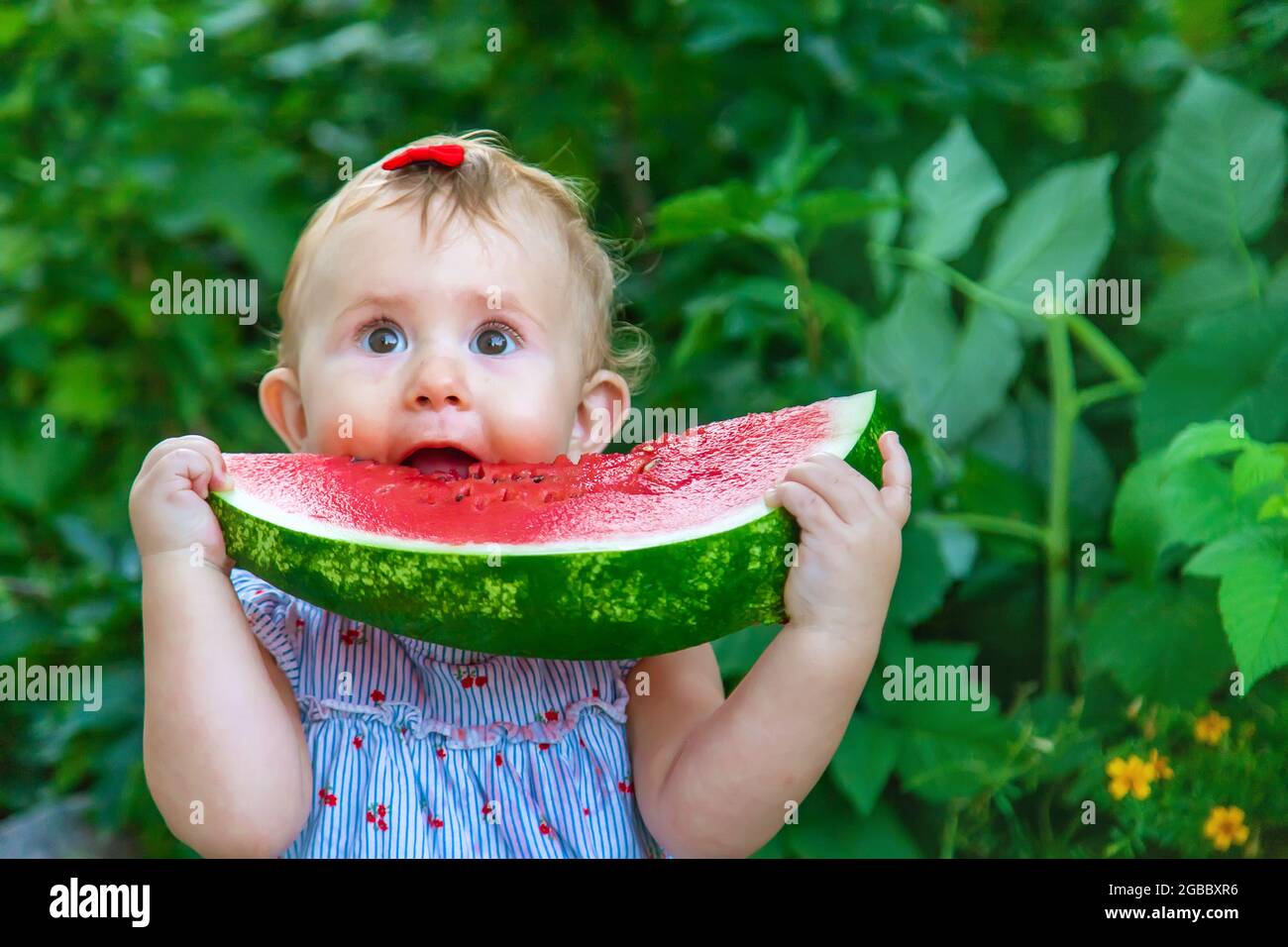 Bebe Mange De La Pasteque En Ete Mise Au Point Selective Nourriture Photo Stock Alamy Bebe Mange De La Pasteque En Ete Mise Au Point Selective Nourriture Photo Stock Alamy