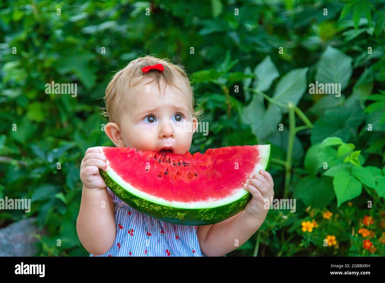 Bebe Mange De La Pasteque En Ete Mise Au Point Selective Nourriture Photo Stock Alamy