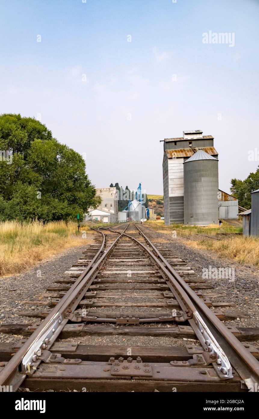 Voies ferrées menant aux greniers, Palouse, État de Washington, États-Unis Banque D'Images