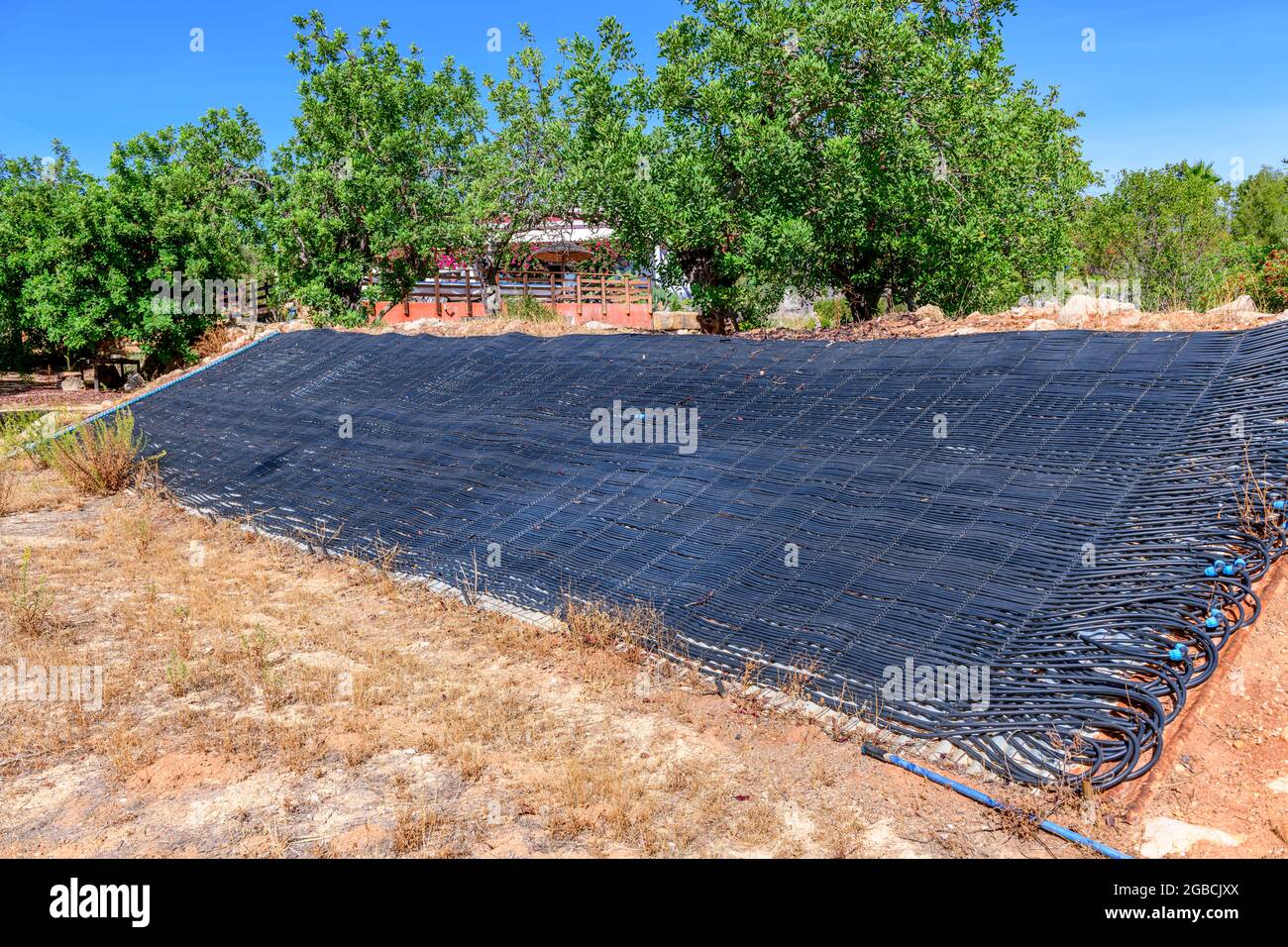 Large gamme de tuyaux noirs utilisés comme système solaire de chauffage de l'eau pour une piscine. Solution écologique et renouvelable d'énergie située dans un jardin Banque D'Images