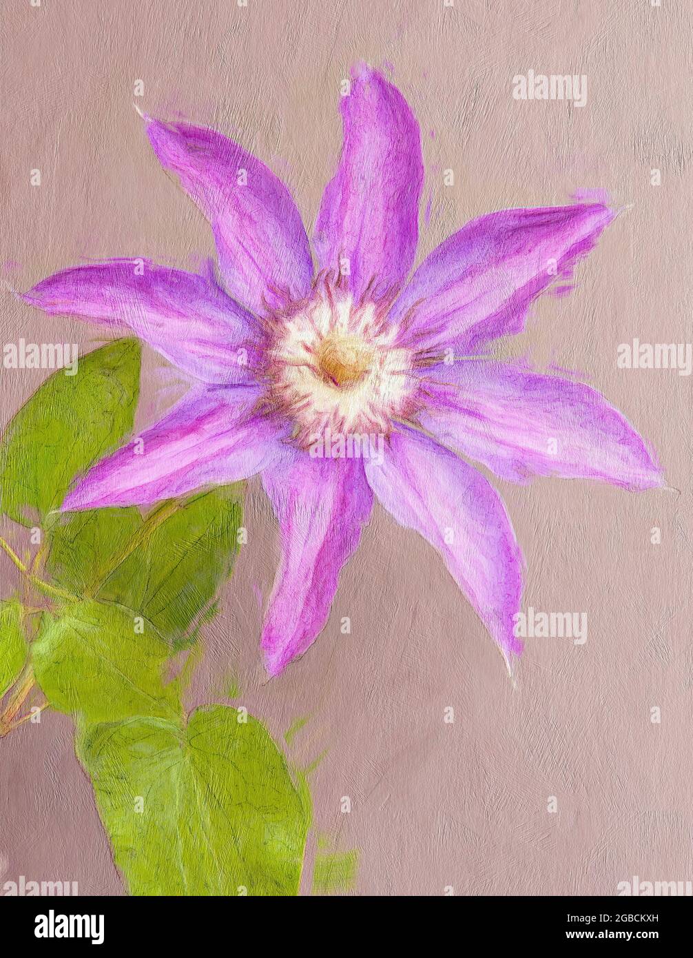 Gros plan de la fleur de clemetis donné un effet de peinture avec une texture ajoutée Banque D'Images