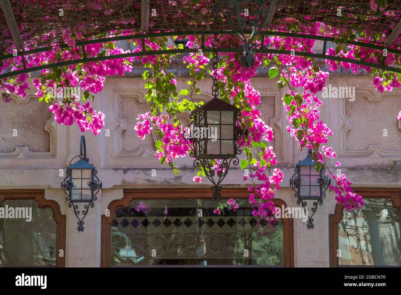 Taormina, Messine, Sicile, Italie. Lampes ornementales sous la voûte de bougainvilliers roses dans les jardins du Grand Hotel Timeo, via Teatro Greco. Banque D'Images