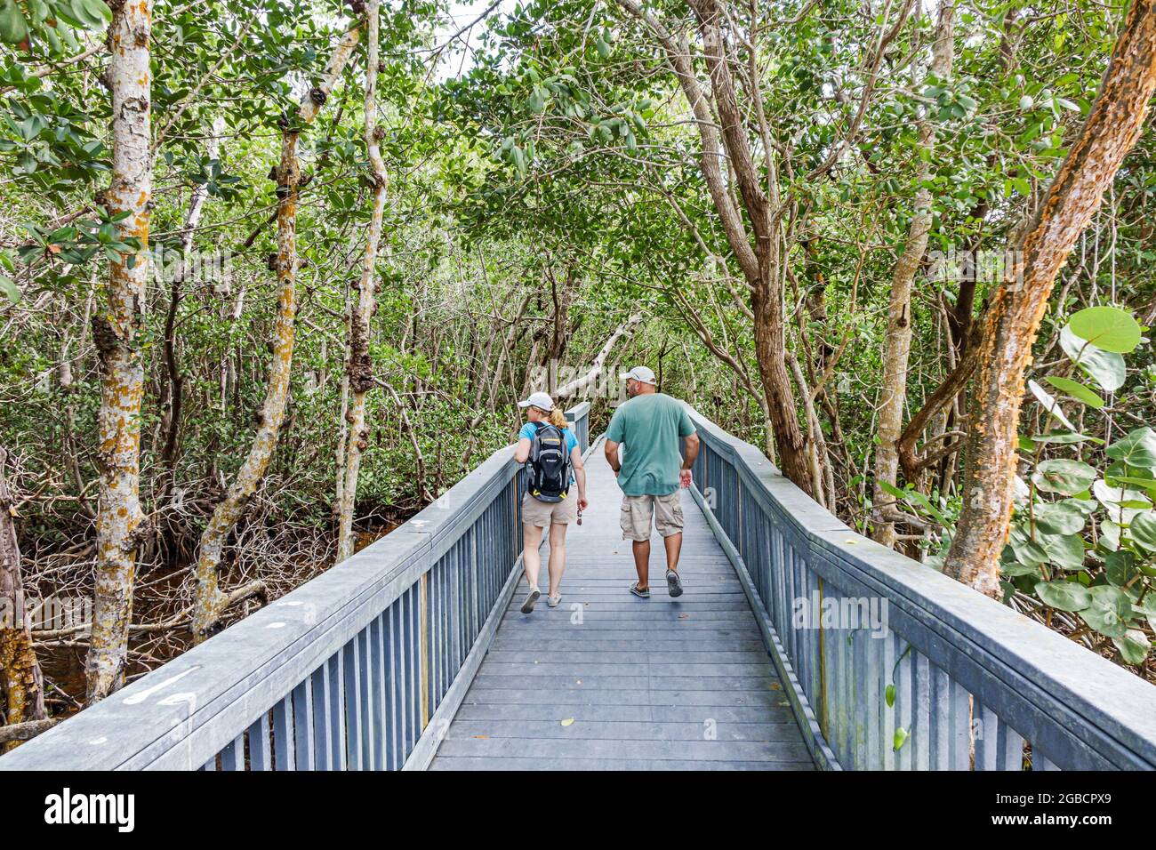 Florida Sanibel Island, JN Ding Darling National Wildlife refuge nature BoardWalk couple, Banque D'Images