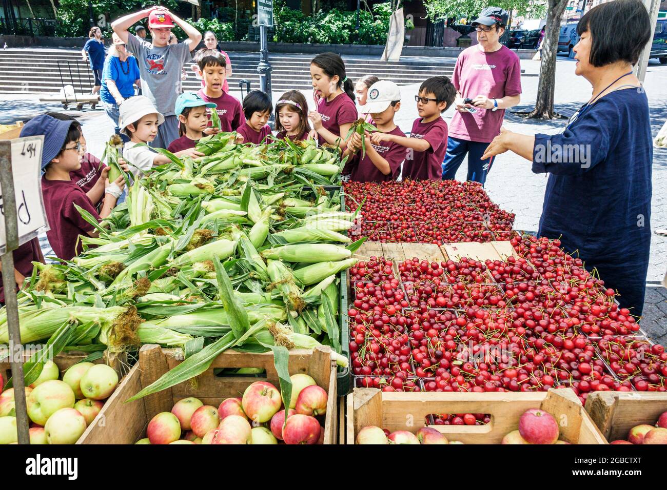 New York City, NY NYC Manhattan Midtown, Dag Hammarskjold Plaza marché agricole Greenmarket, vente de stalle, marché stand, fruits ve Banque D'Images