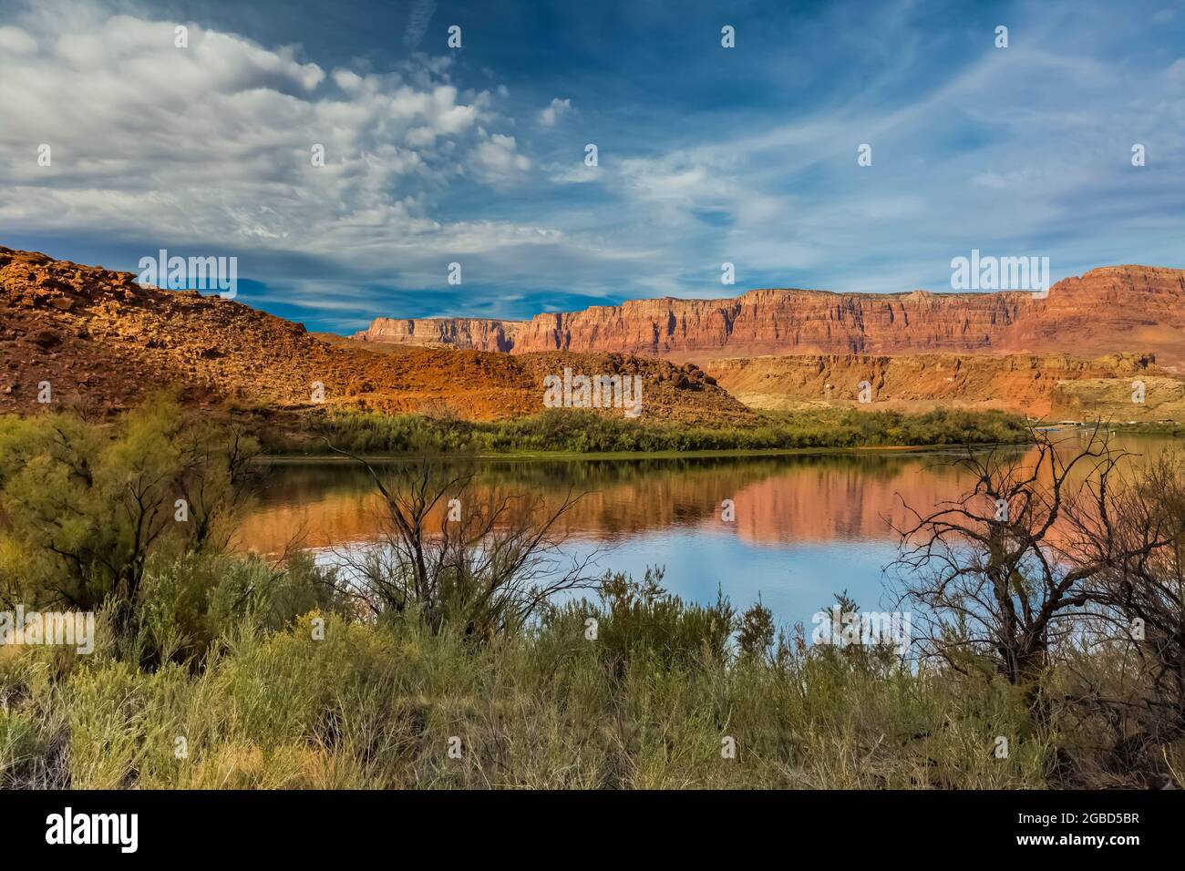 Le fleuve Colorado traverse tranquillement la région de Lees Ferry du terrain de loisirs national de Glen Canyon, Arizona, États-Unis Banque D'Images