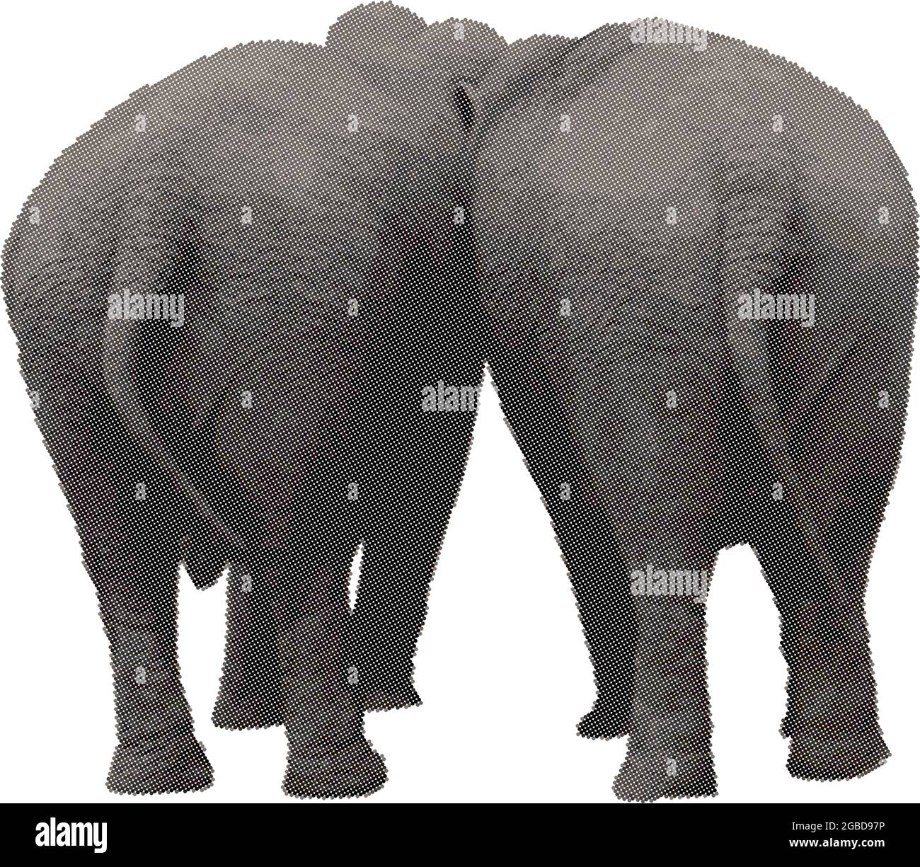 Deux éléphants à l'arrière dans un vecteur raster Illustration de Vecteur