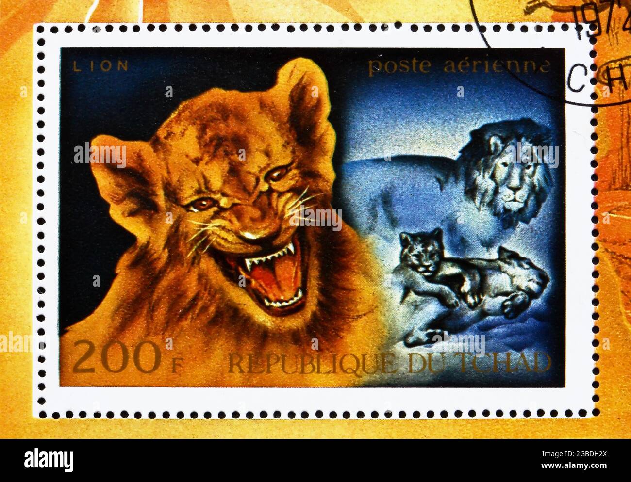 TCHAD - VERS 1972 : un timbre imprimé au Tchad montre le Lion Cub, Panthera Leo, African Wild Animals, vers 1972 Banque D'Images