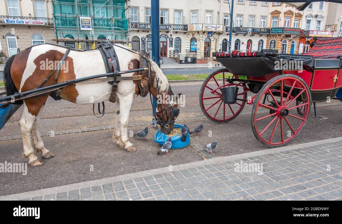 Great Yarmouth, Norfolk, Royaume-Uni – juillet 12 2021. Des promenades à cheval et en calèche traditionnelles sont disponibles le long du Golden Mile, c'est-à-dire en bord de mer Banque D'Images