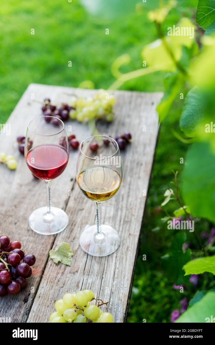 Verres à vin blanc et rouge et raisin sur la table en bois dans les vignobles, domaine viticole avec fond d'herbe verte. Dégustation de vins, Degustation. Verticale Banque D'Images