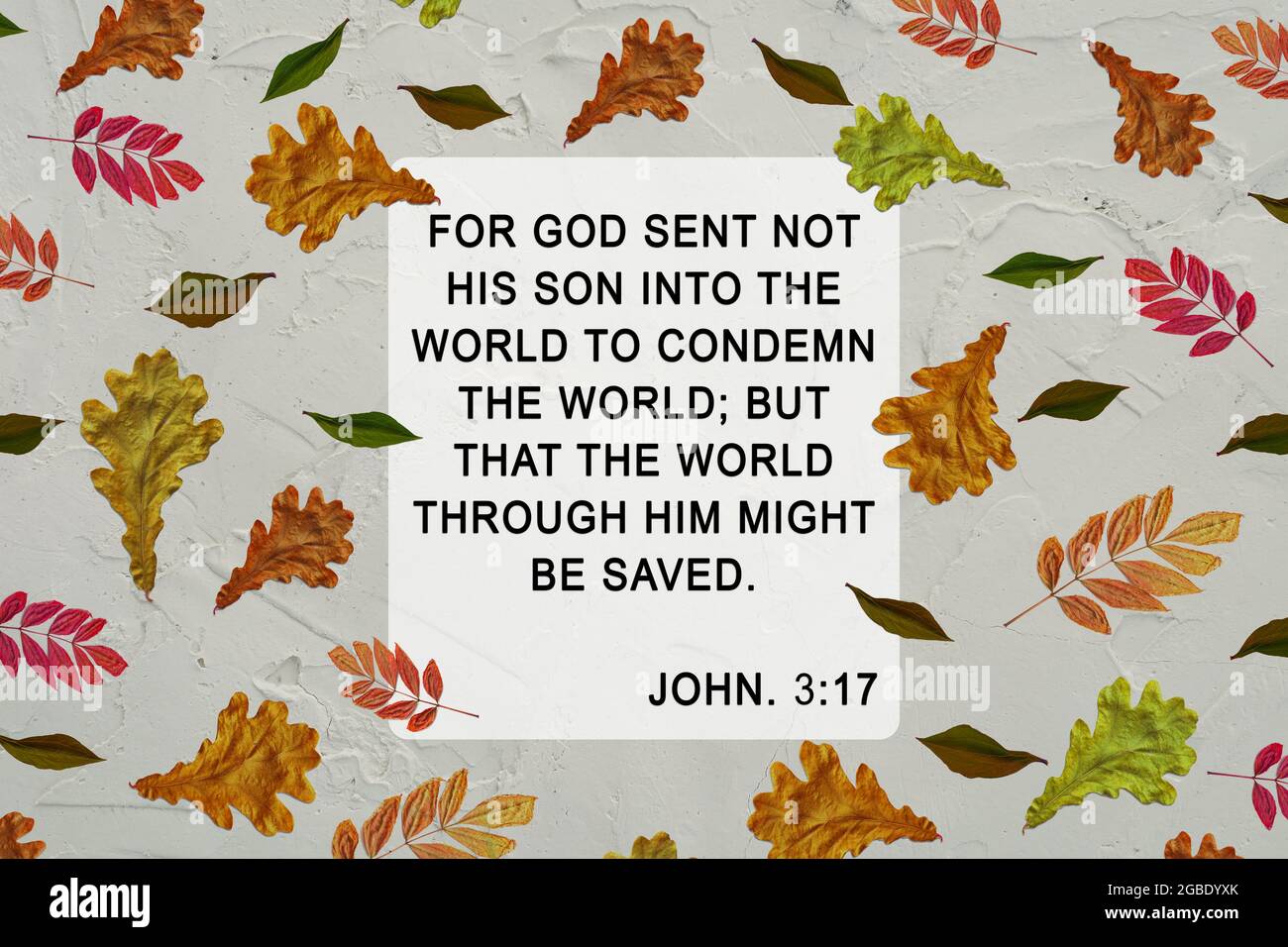 Citation De La Bible Dans Le Cadre Jaune Vert Feuille D Automne Fond Inspiration Christian Priant Verset Car Dieu N A Pas Envoye Son Fils Dans Le Monde Pour Condamner Le W Photo Stock