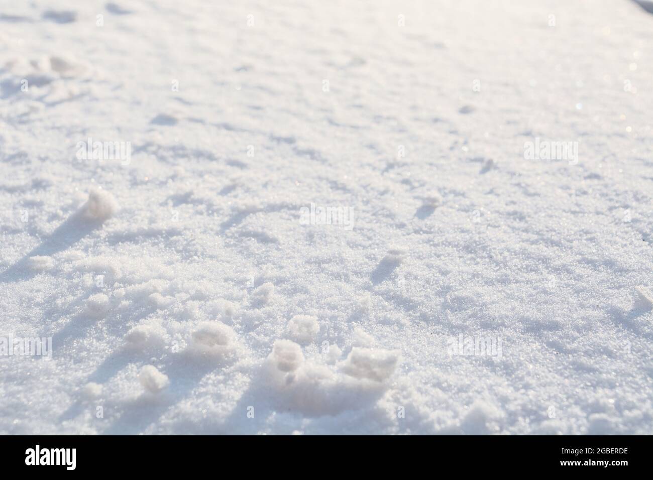 Arrière-plan de surface enneigée. Hiver neige propre toile de fond Banque D'Images