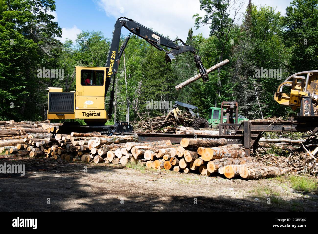 Un chargeur de grumes à bras porte-fusée Tigercat 234 avec délimiteur et scie à sarrasin sur un chantier d'exploitation forestière dans les montagnes Adirondack avec un débardeur en bois derrière lui. Banque D'Images