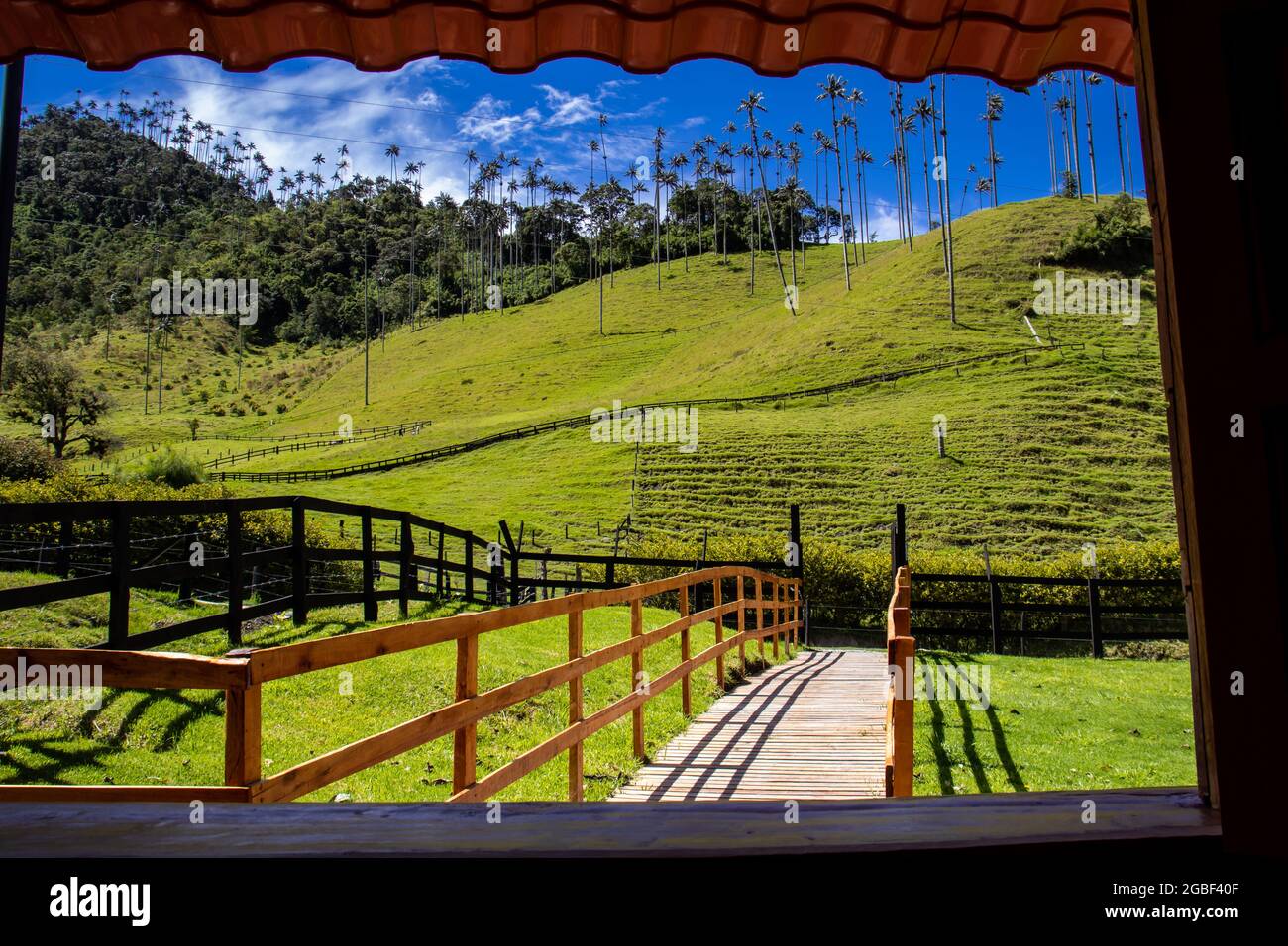 La belle vallée de Cocora dans la région de Quindio en Colombie vue par la fenêtre Banque D'Images