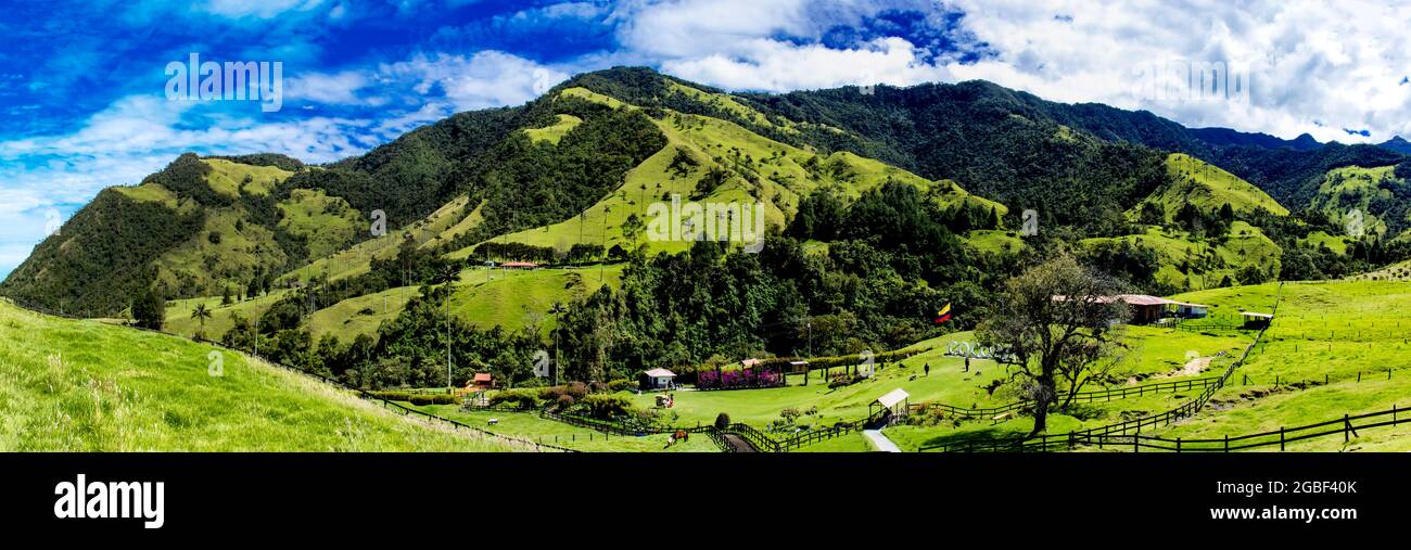 Belle vue panoramique sur la vallée de Cocora dans la région de Quindio en Colombie Banque D'Images