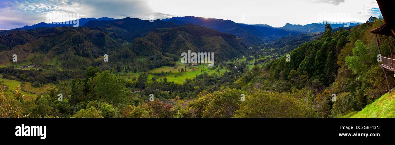 Belle vue panoramique sur la vallée de Cocora dans la région de Quindio en Colombie Banque D'Images