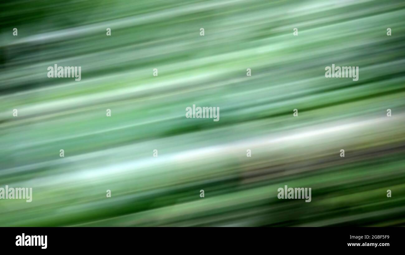 Arrière-Plan Abstrait Flou De Mouvement Vert Banque D'Images