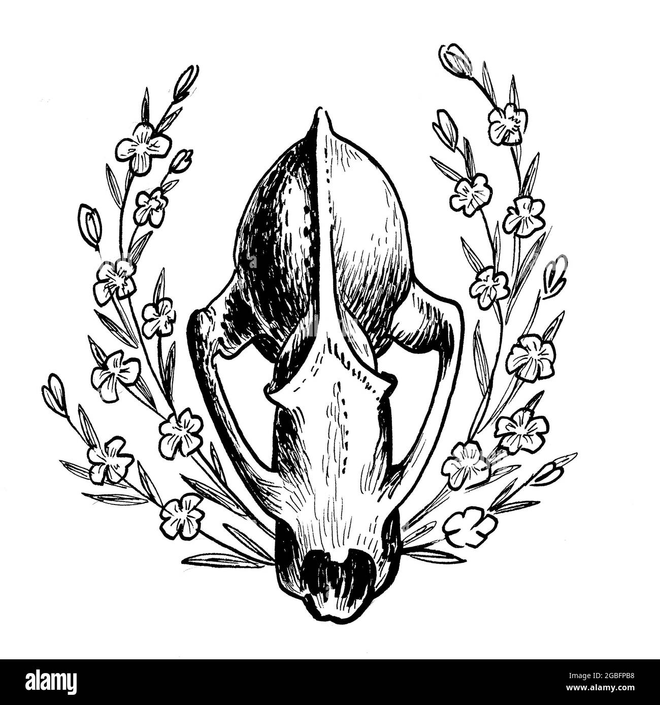 Crâne animal et fleurs en fleurs. Dessin noir et blanc Banque D'Images