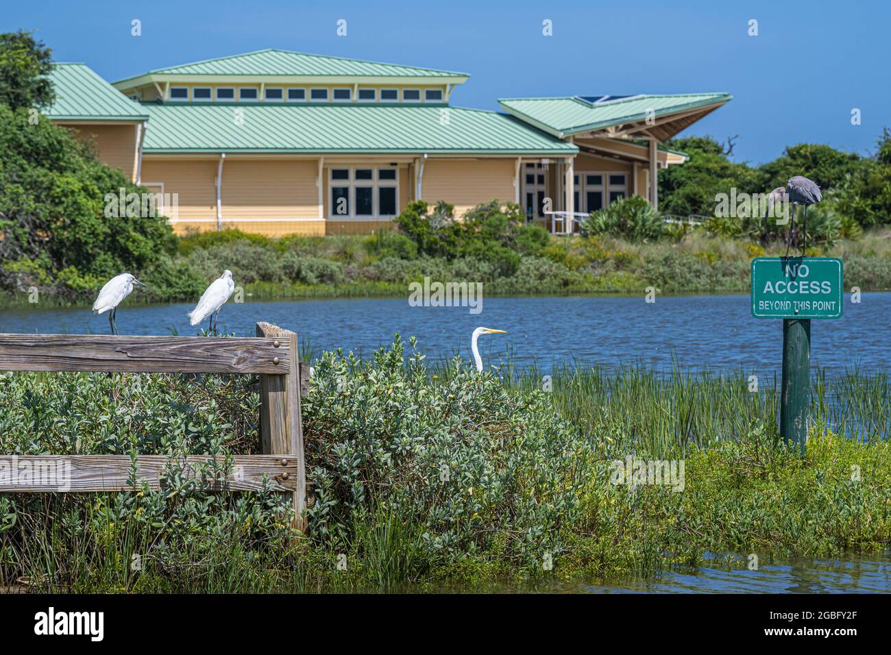 Centre d'accueil de la réserve nationale de recherche estuarienne Guana Tolomato Matanzas (GTM Research Reserve) sur la rivière Guana à Ponte Vedra Beach, FL. Banque D'Images Centre d'accueil de la réserve nationale de recherche estuarienne Guana Tolomato Matanzas (GTM Research Reserve) sur la rivière Guana à Ponte Vedra Beach, FL. Banque D'Images