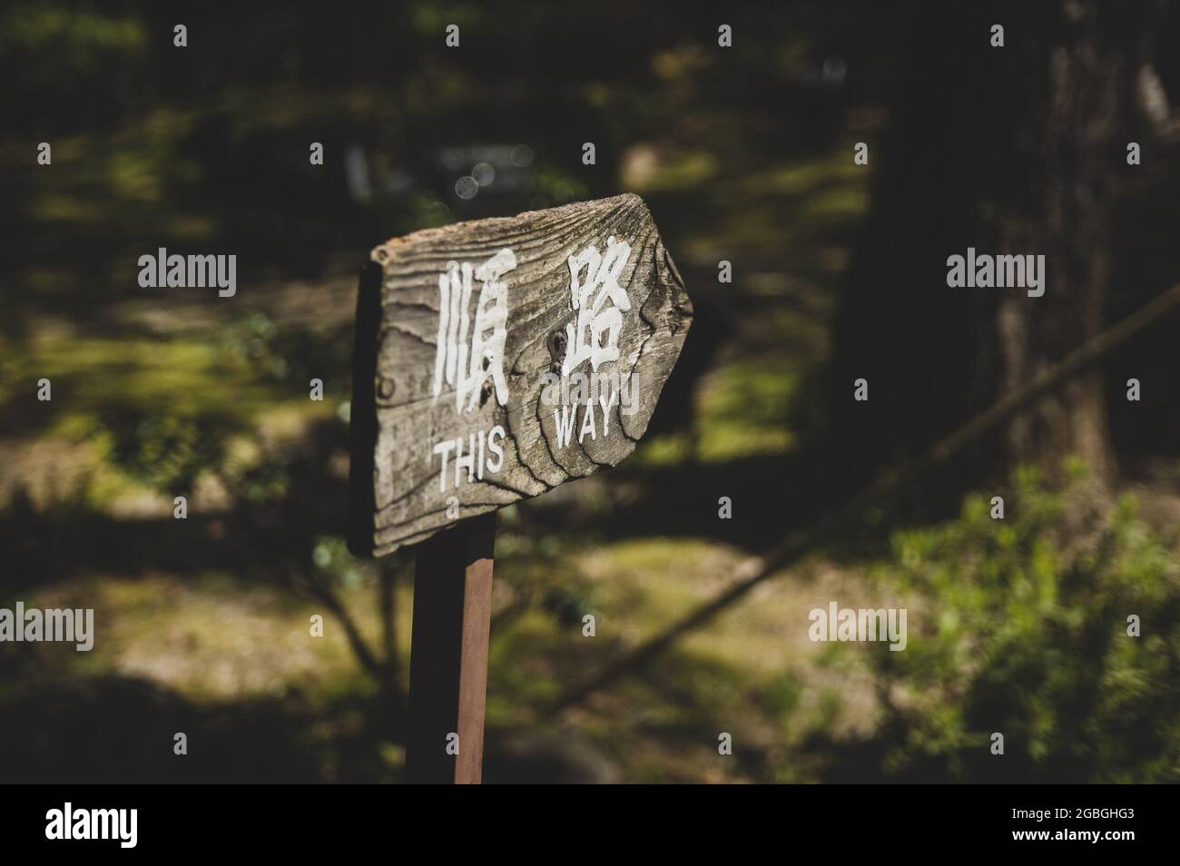 Road Sign en anglais et en japonais Banque D'Images