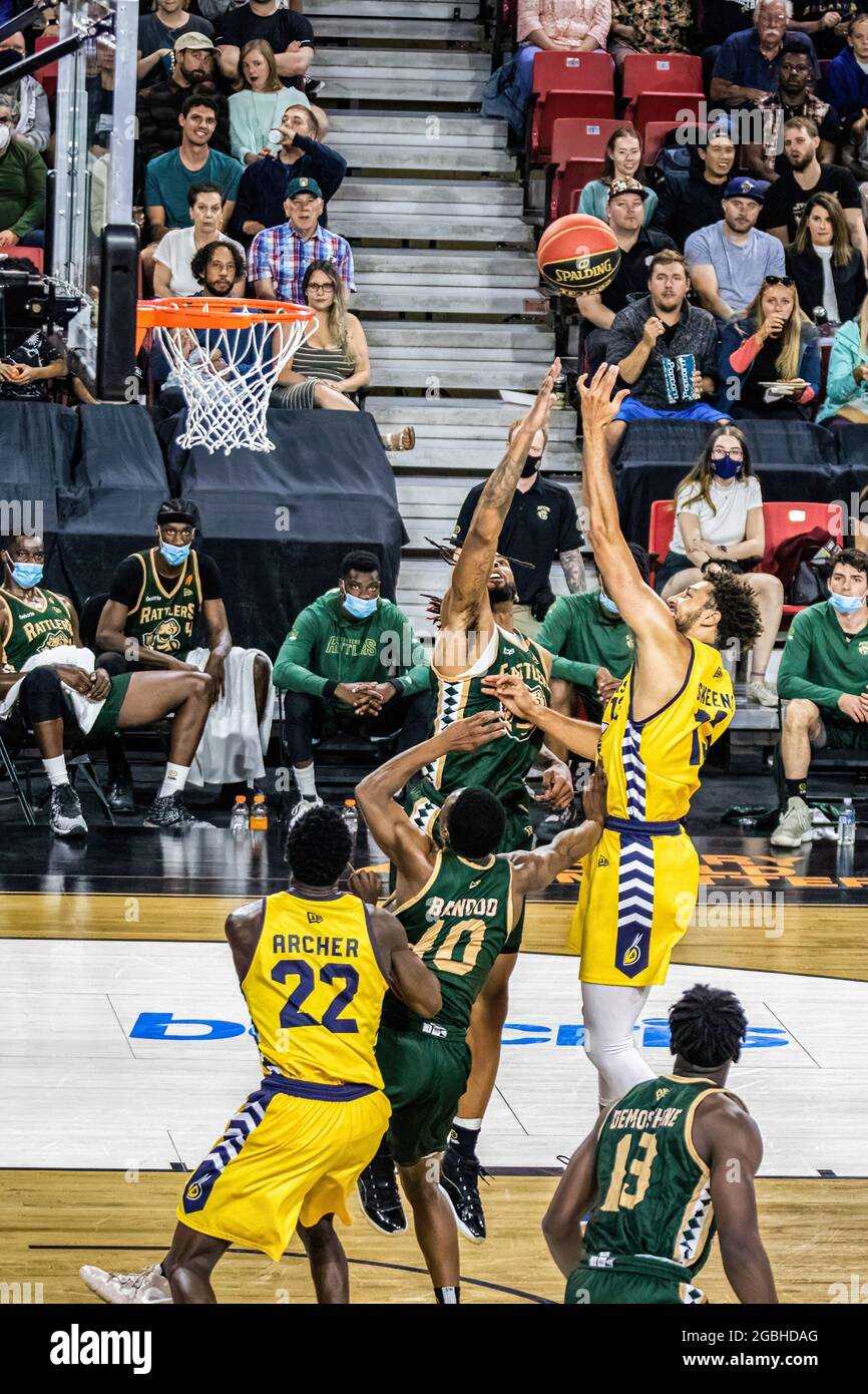 Edmonton, Canada. 02 août 2021. Brady Skeens (13) d'Edmonton Stingers vu en action pendant le match de la Ligue canadienne élite de basket-ball 2021 entre Saskatchewan Rattlers et Edmonton Stingers au Edmonton Expo Centre. (Note finale; Saskatchewan Rattlers 78:85 Edmonton Stingers) (photo de Ron Palmer/SOPA Images/Sipa USA) crédit: SIPA USA/Alay Live News Banque D'Images