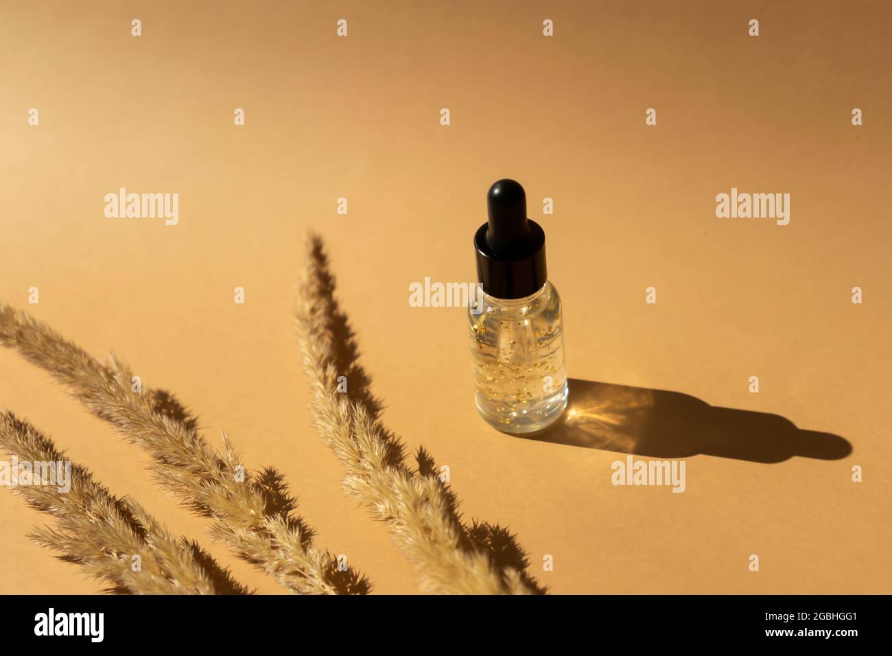 Un flacon compte-gouttes d'huile essentielle transparente avec des pièces en or. Concept de cosmétiques naturels. Concept de soins du visage et du corps Banque D'Images