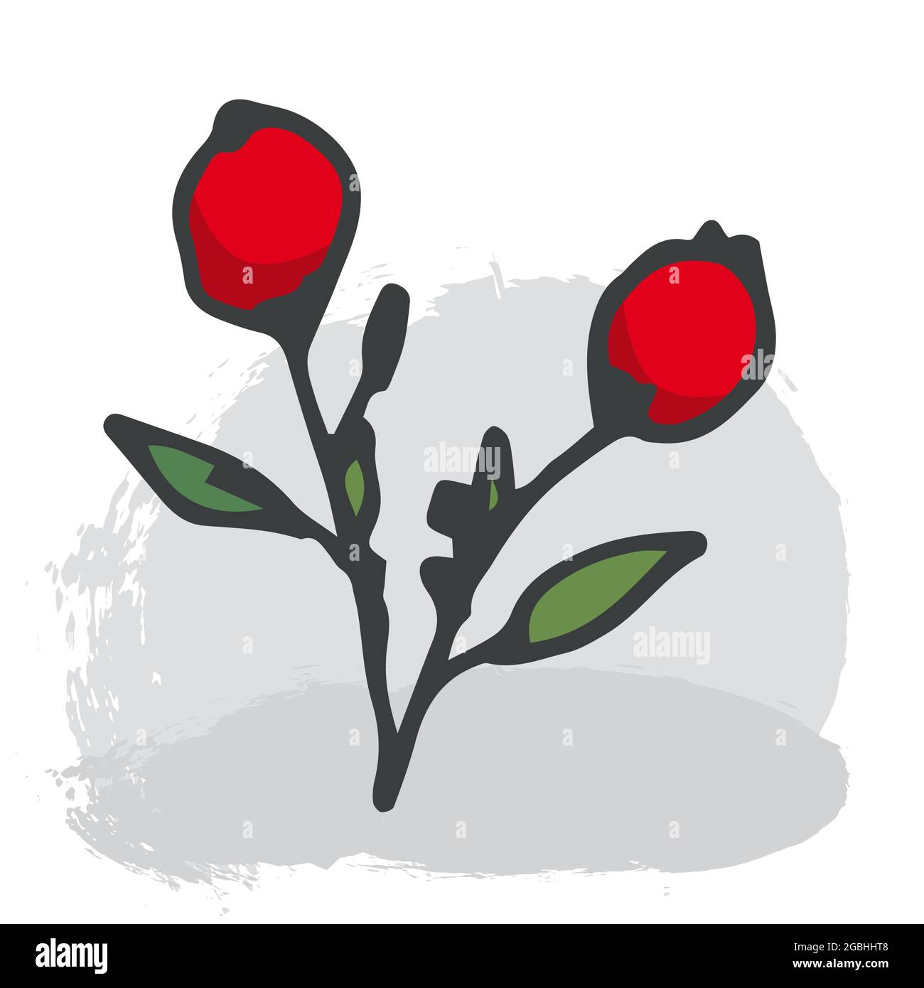 Illustration vectorielle, deux baies rouges de rosehip et des feuilles vertes sur fond blanc. Illustration vectorielle Illustration de Vecteur
