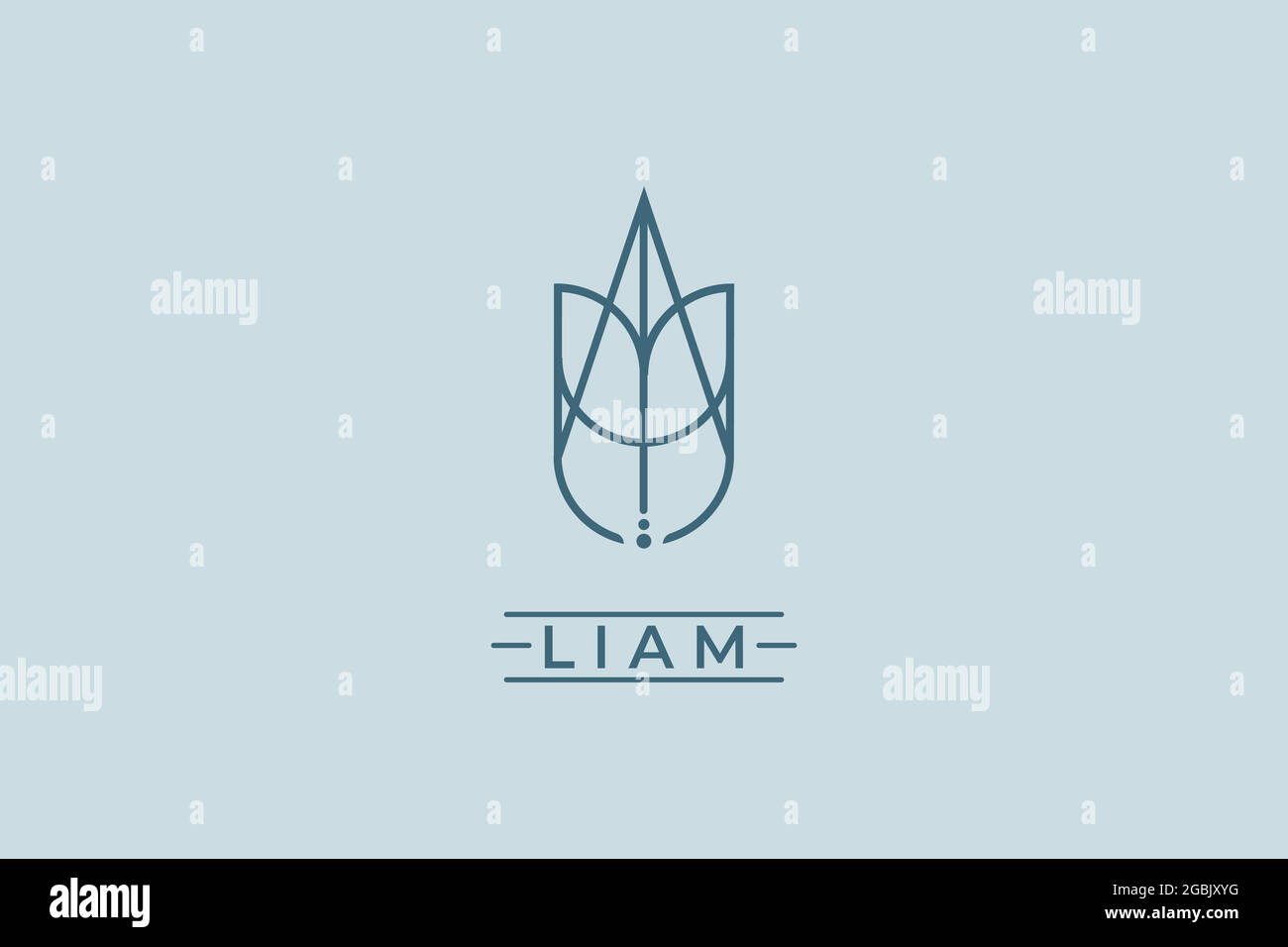 clock The actual insect Nom du logo Liam. Logo utilisable pour logo privé, icône Web de carte de  nom d'entreprise, icône de médias sociaux Image Vectorielle Stock - Alamy