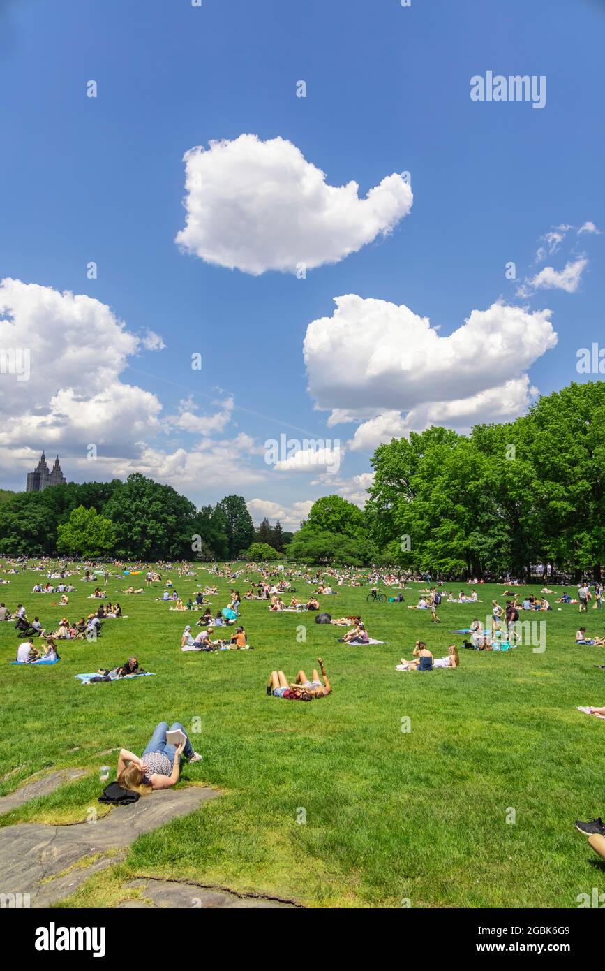 Les gens se détendent sur le pré Sheep Meadow of Central Park au milieu de la pandémie de COVID-19 NYC. Banque D'Images