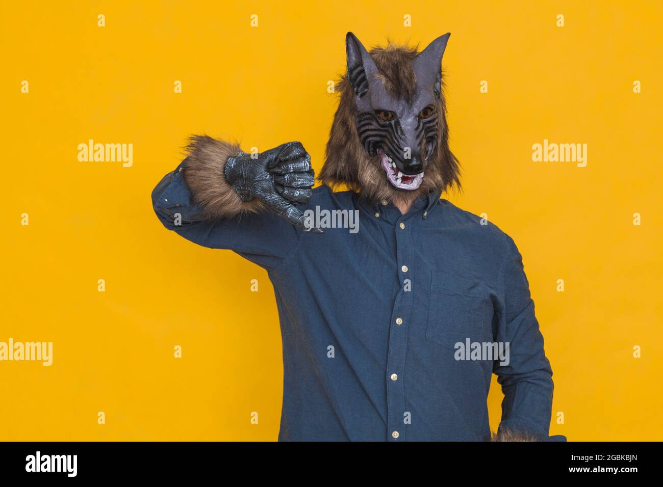 Sur fond jaune, il y a un loup-garou habillé d'une chemise bleue fait un geste de désaccord en pointant son pouce vers le bas. Banque D'Images