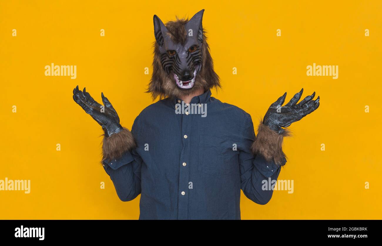Sur fond jaune, il y a un loup-garou vêtu d'une chemise bleue avec ses bras sur les côtés, la paume de ses mains vers le haut indiquant qu'il Banque D'Images