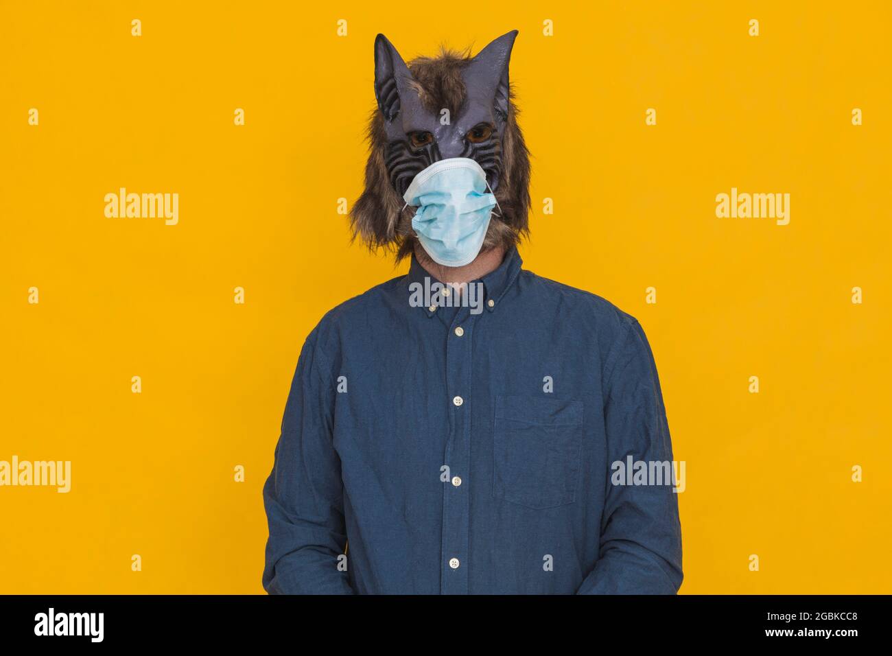 Sur fond jaune se trouve un loup-garou vêtu d'une chemise bleue portant un masque chirurgical. Banque D'Images