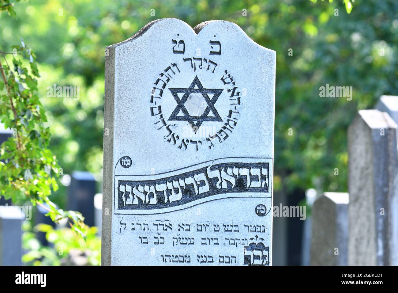 Vienne, Autriche. Pierre tombale dans le département juif du cimetière central de Vienne Banque D'Images