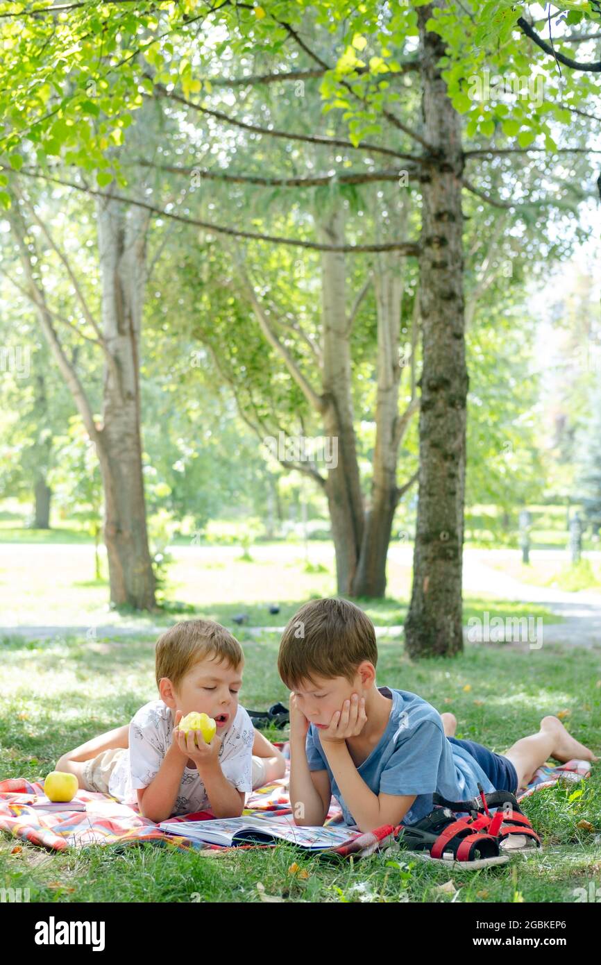 Deux garçons se trouvent sur une couverture dans un parc vert. Les enfants lisent un livre couché sur le sol, dans le parc. Enfants sur un pique-nique en été, lecture de livres. S Banque D'Images