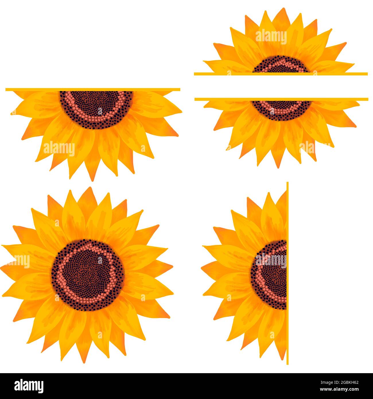 Illustration du monogramme de tournesol, demi-tournesol, modèle floral. Banque D'Images