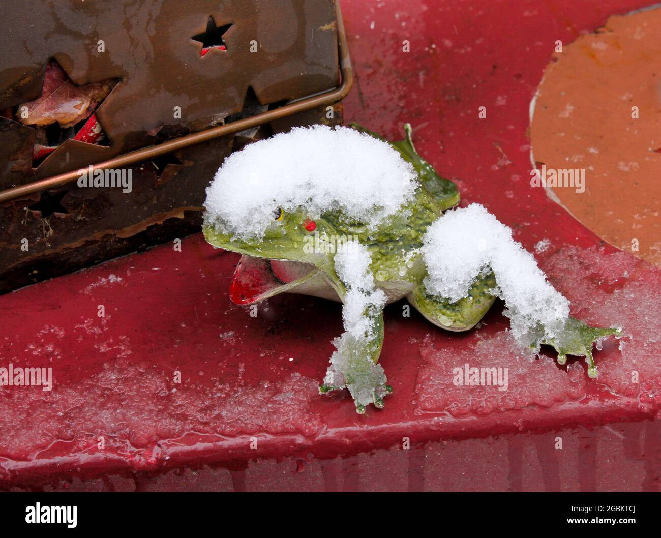 Surgelé - jouet en plastique croaking grenouille recouverte de glace sur ciment rouge glacé à côté du métal luminaria Banque D'Images
