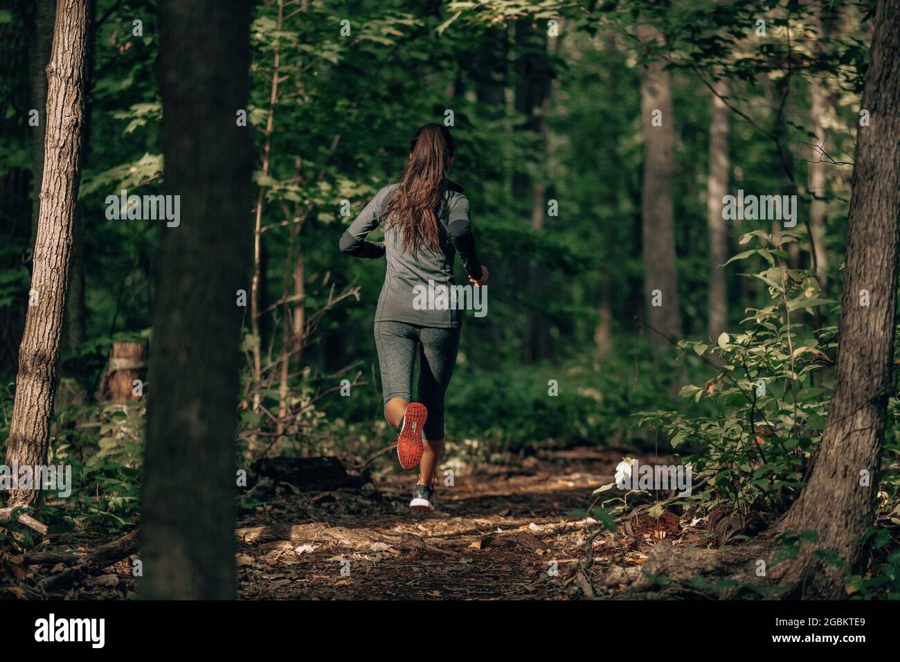 Faire de l'exercice à l'extérieur est sain pour les coureurs actifs. Une femme en randonnée d'automne qui court dans la nature depuis l'arrière dans une forêt sombre. Jogging extérieur Banque D'Images