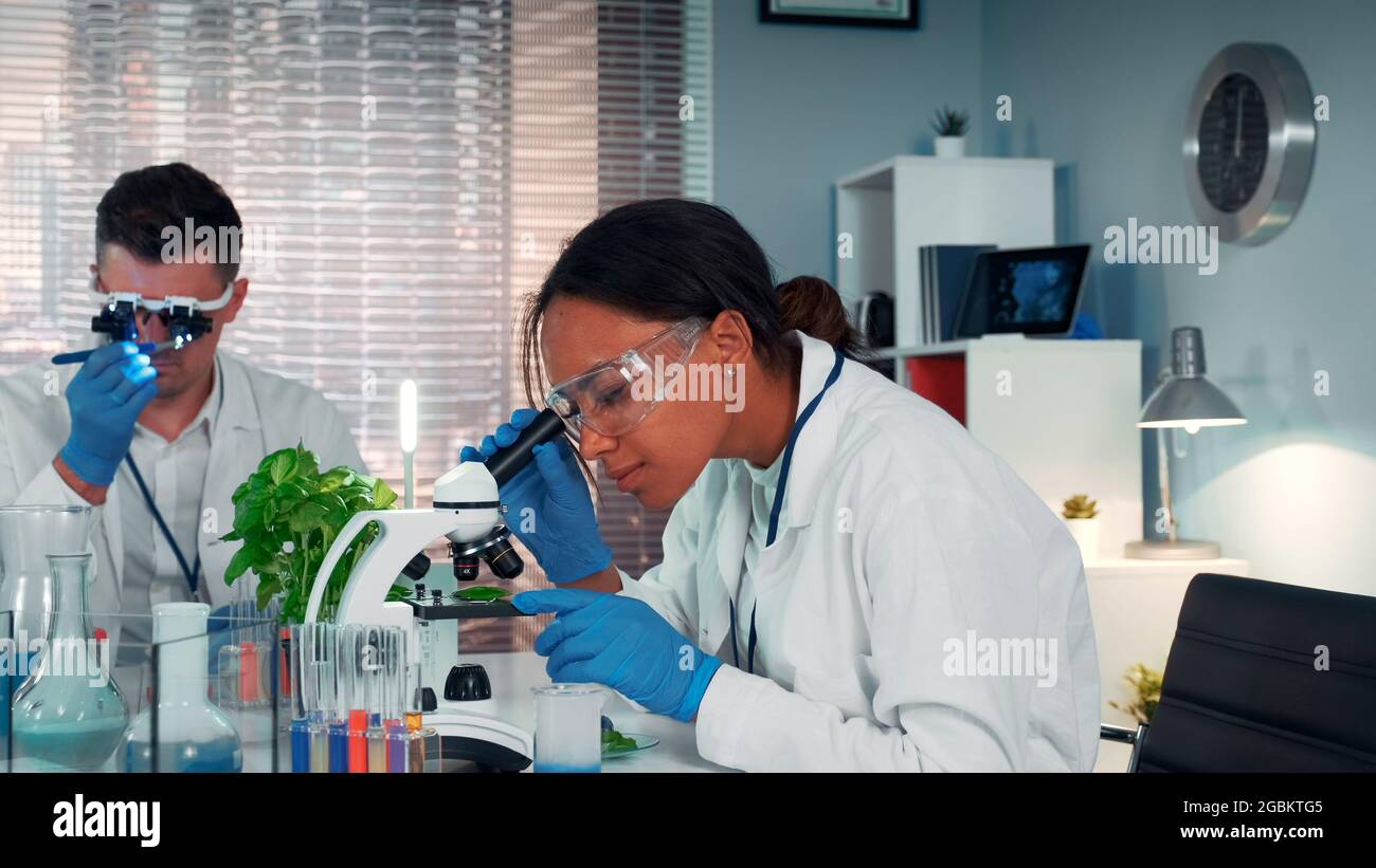 Dans le laboratoire de recherche moderne noir femelle scientifique regardant le matériel organique sous microscope alors que sa collégiale travaille dans la loupe des lunettes. Banque D'Images