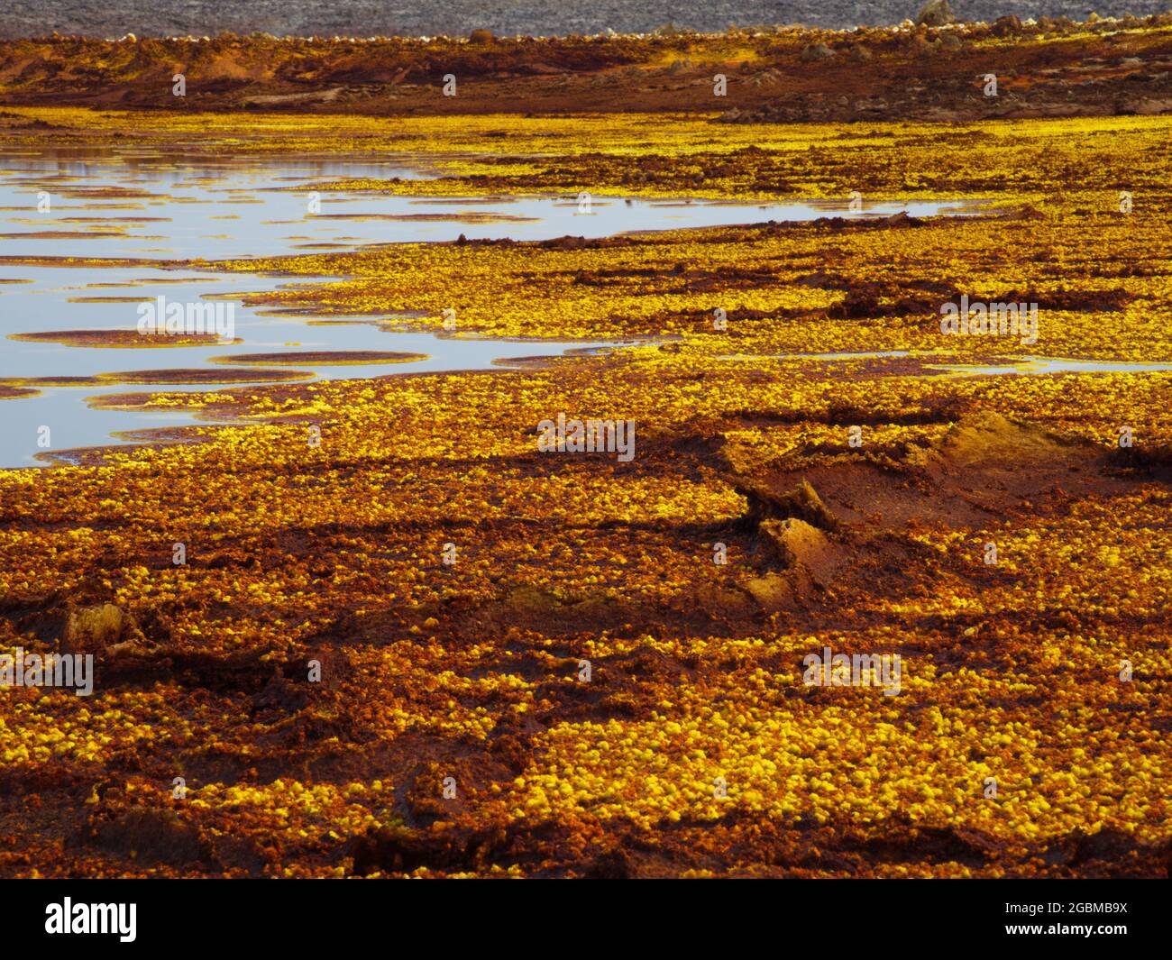 Gros plan des sources de soufre et des modèles de roche formant un paysage comme Mars Danakil Dépression endroit le plus chaud sur terre, l'Éthiopie. Banque D'Images