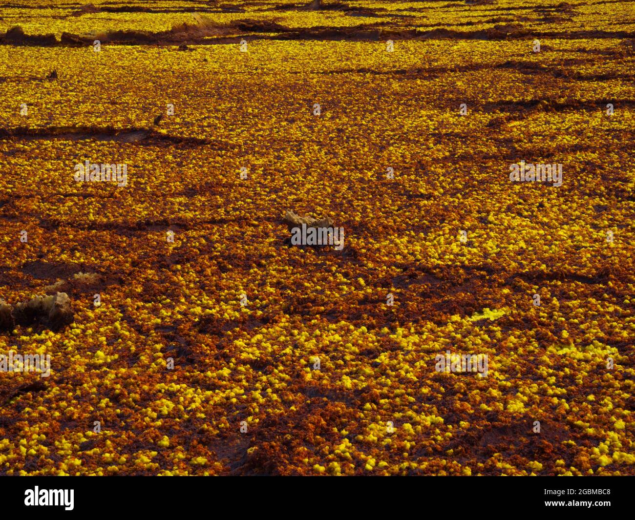 Gros plan des sources de soufre jaune et des modèles de roche formant un paysage comme Mars Danakil Dépression endroit le plus chaud sur terre, Éthiopie. Banque D'Images