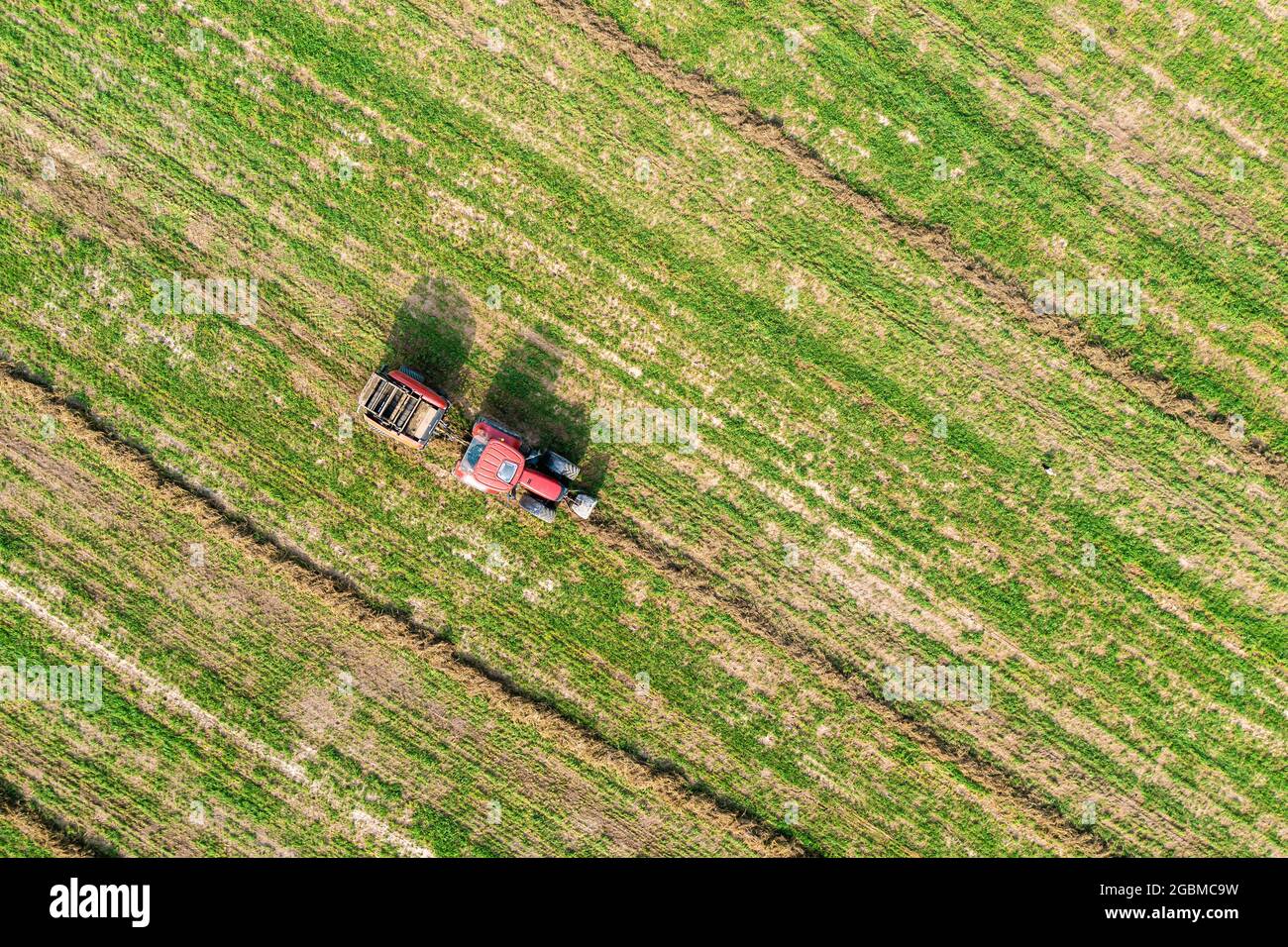Presse à balles rondes au travail, réalisation de balles de paille à partir d'herbe sèche, vue aérienne des machines agricoles au travail Banque D'Images